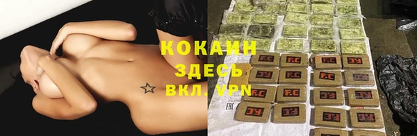 тгк Аркадак