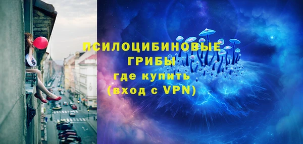 тгк Аркадак